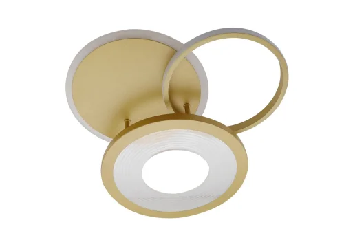 Люстра потолочная с пультом LED LAMPS 81300 Natali Kovaltseva золотая на 1 лампу, основание золотое в стиле хай-тек с пультом кольца фото 6